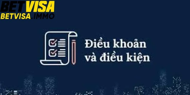 điều khoản và điều kiện
