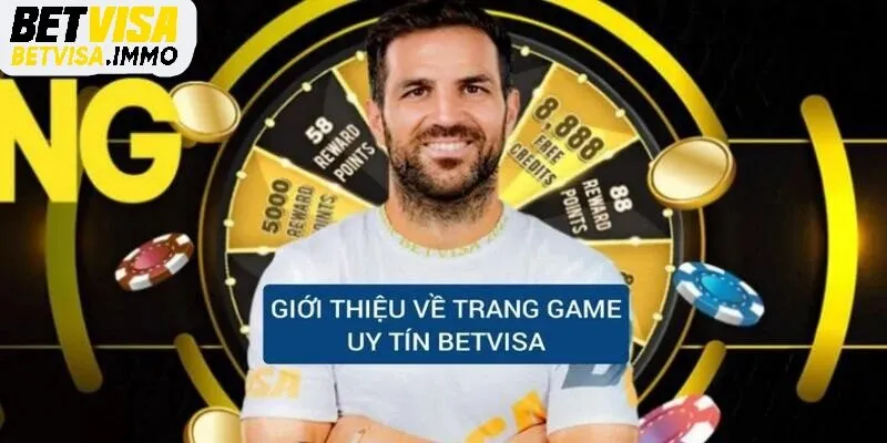 Betvisa – trang cá cược hàng đầu Việt Nam.